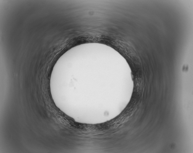 X0000099231057200805151624