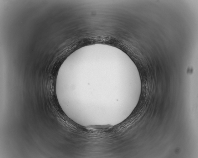 X0000099231058200805151624