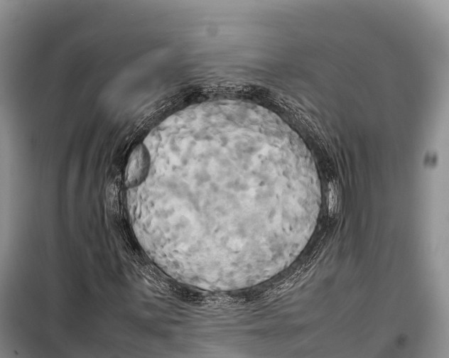 X0000099231059200805151624