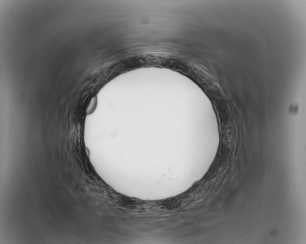 X0000099231061200805151624