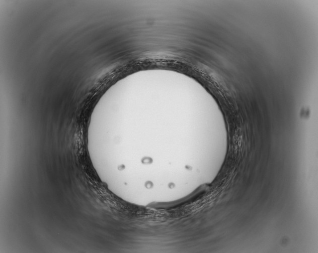 X0000099231062200805151624