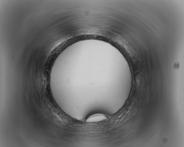 X0000099231064200805151624