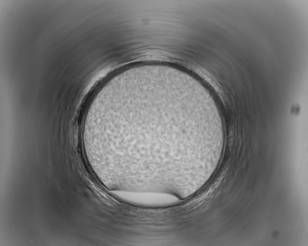 X0000099231067200805151624