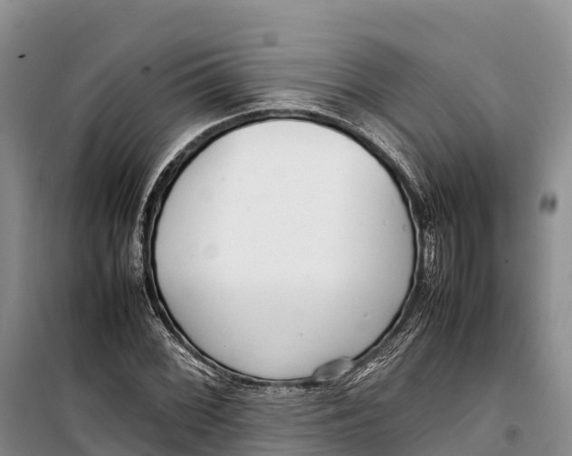 X0000099231068200805151624