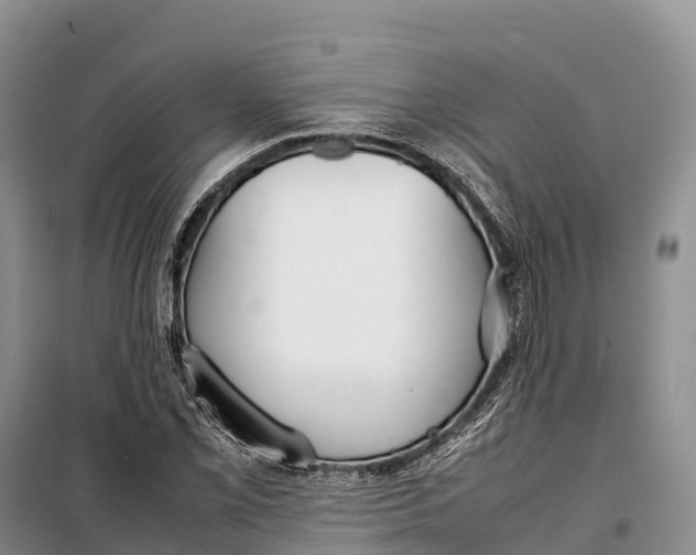 X0000099231069200805151624