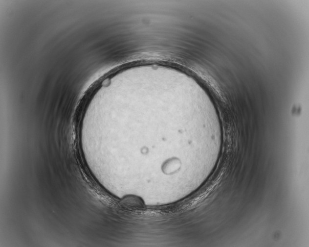 X0000099231070200805151624