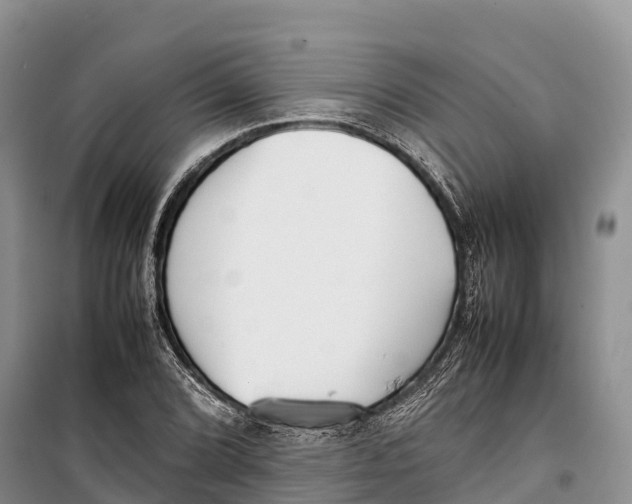 X0000099231072200805151624