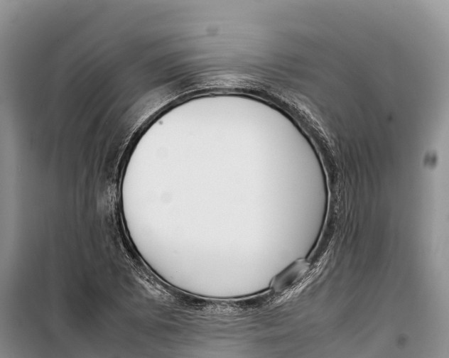 X0000099231073200805151624