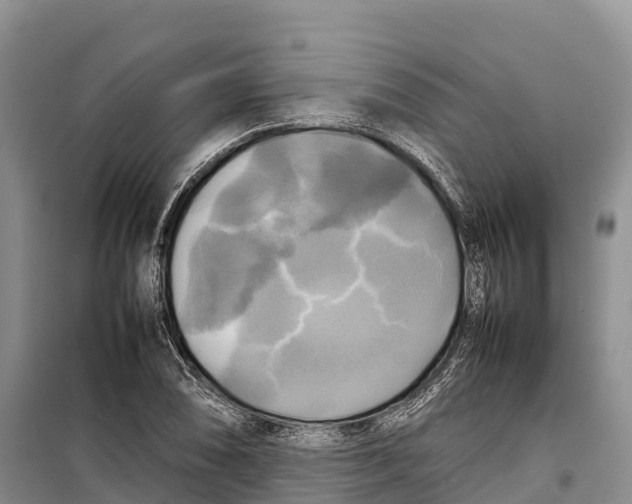 X0000099231074200805151624