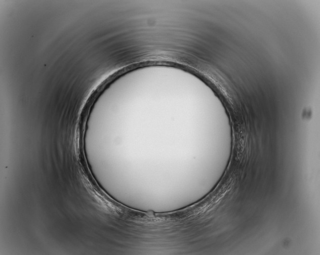 X0000099231076200805151624