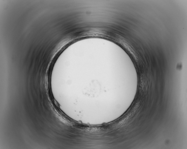 X0000099231082200805151624