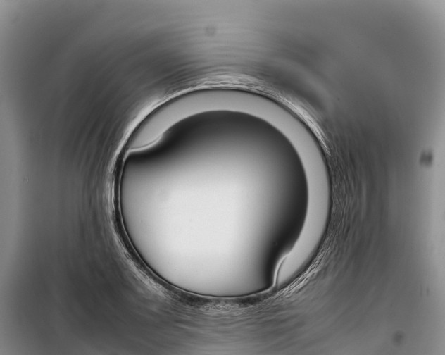 X0000099231083200805151624