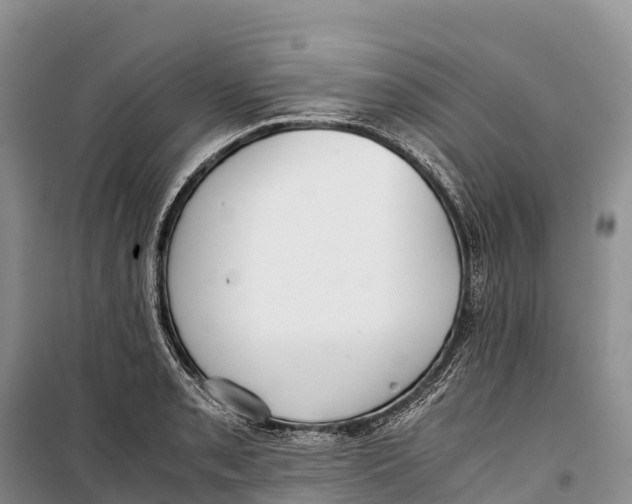 X0000099231085200805151624