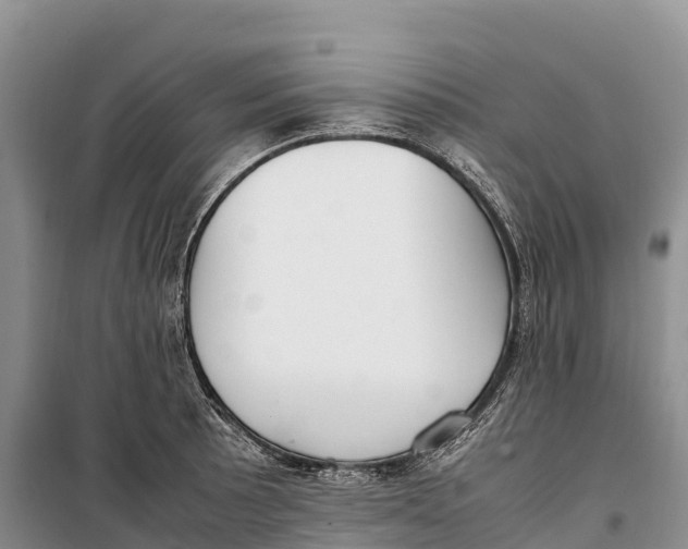 X0000099231089200805151624