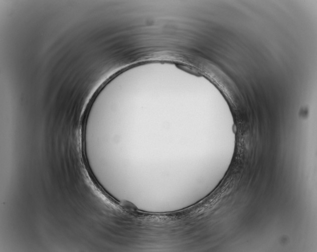 X0000099231092200805151624