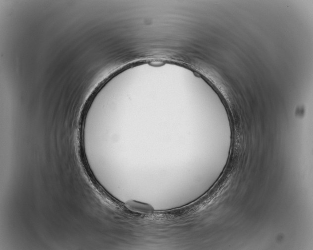 X0000099231093200805151624