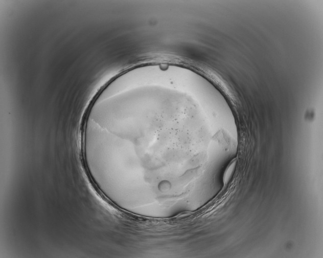 X0000099231095200805151624