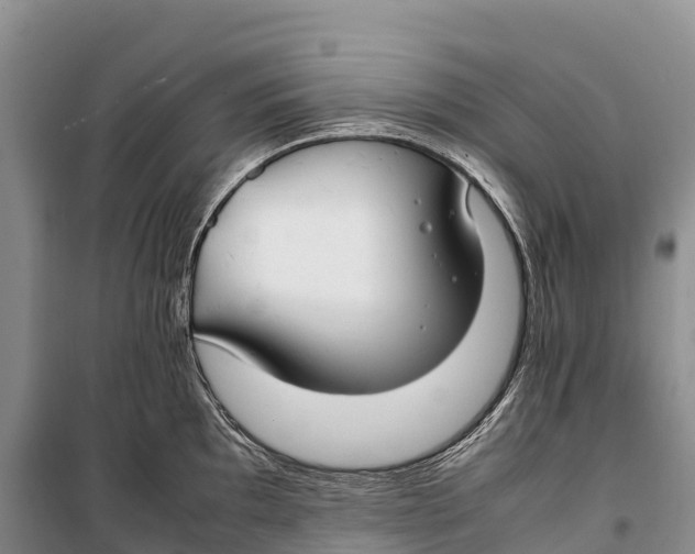 X0000099231097200805151624