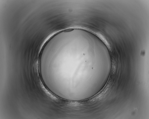 X0000099231100200805151624