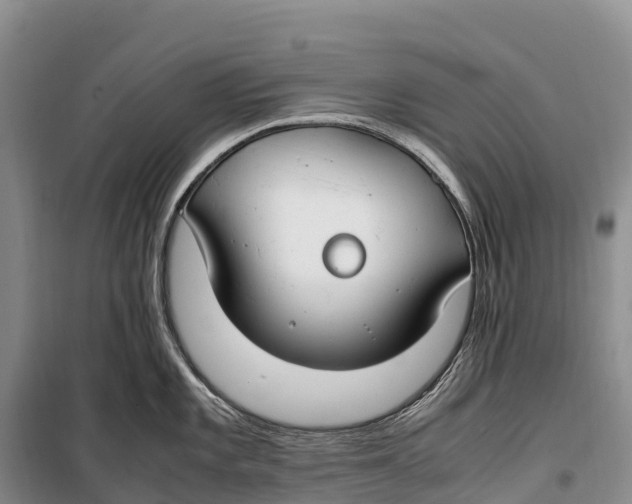 X0000099231101200805151624