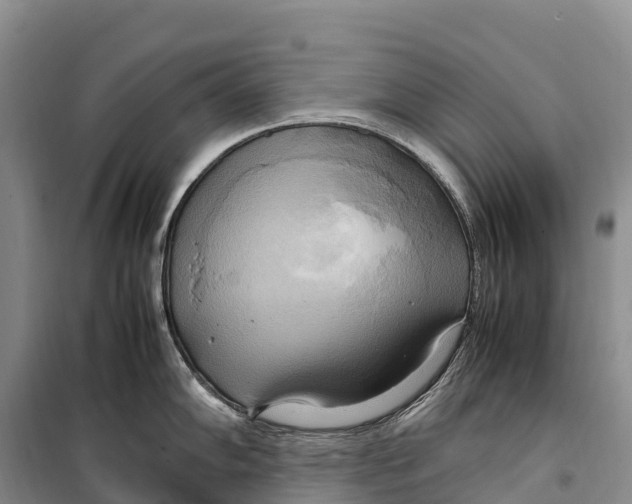 X0000099231102200805151624