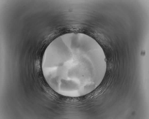 X0000099231106200805151623