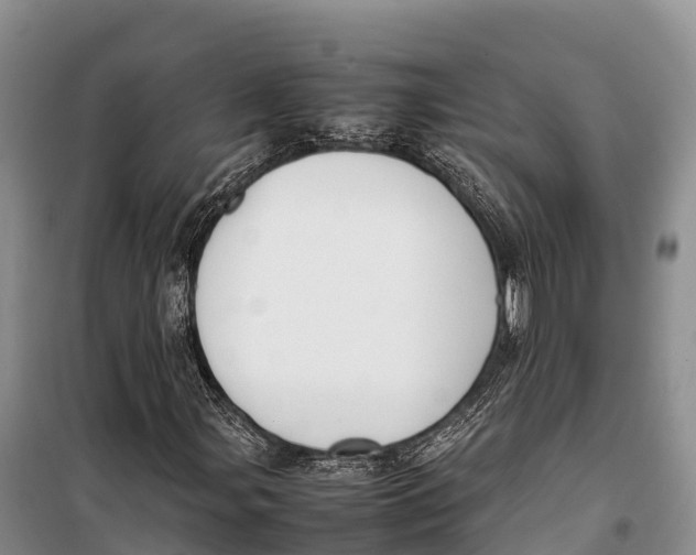 X0000099231107200805151623