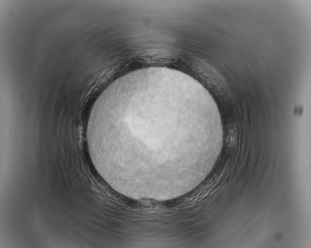 X0000099231108200805151623