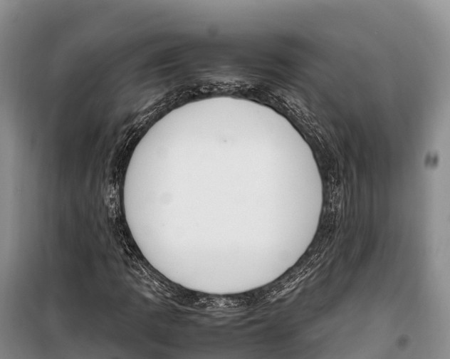 X0000099231109200805151623