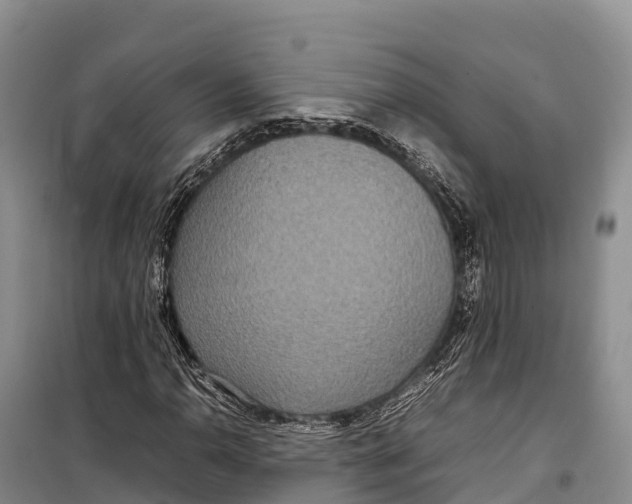 X0000099231110200805151623