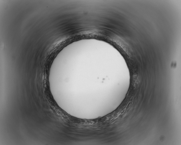 X0000099231111200805151623