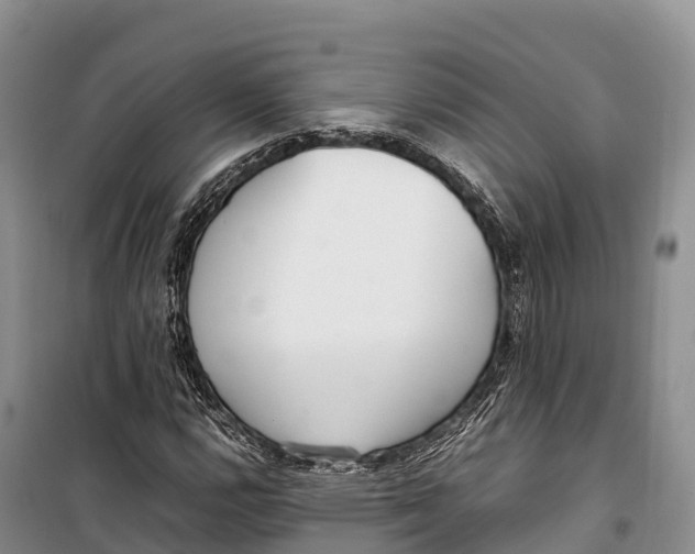 X0000099231112200805151623