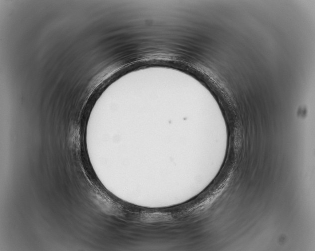 X0000099231113200805151623