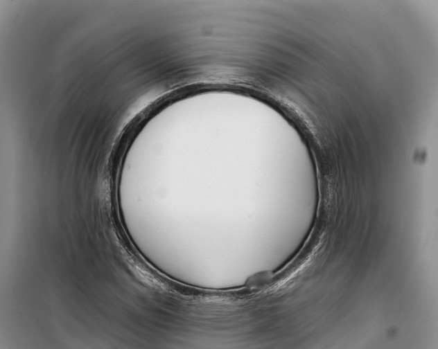 X0000099231114200805151623