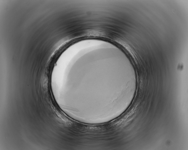 X0000099231115200805151623