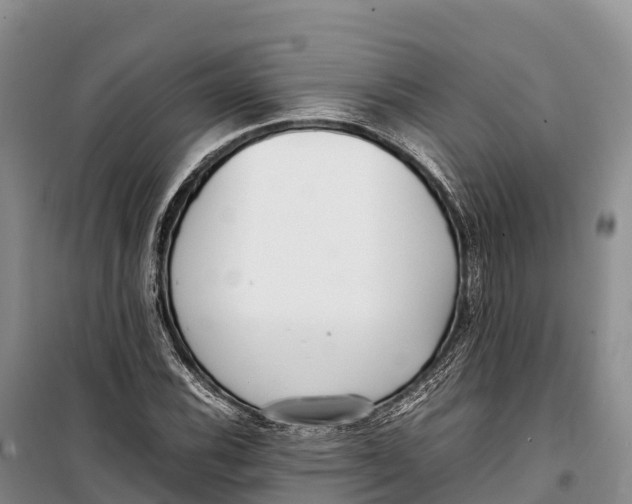 X0000099231116200805151623