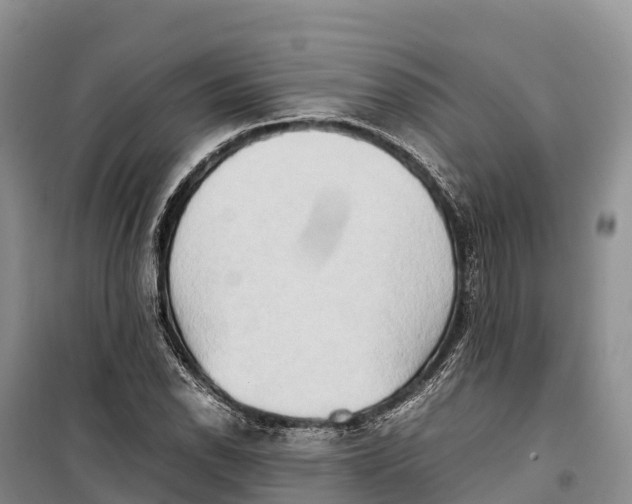 X0000099231118200805151623