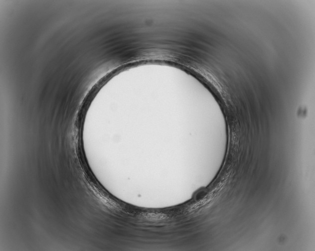 X0000099231119200805151623