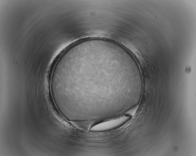 X0000099231120200805151623