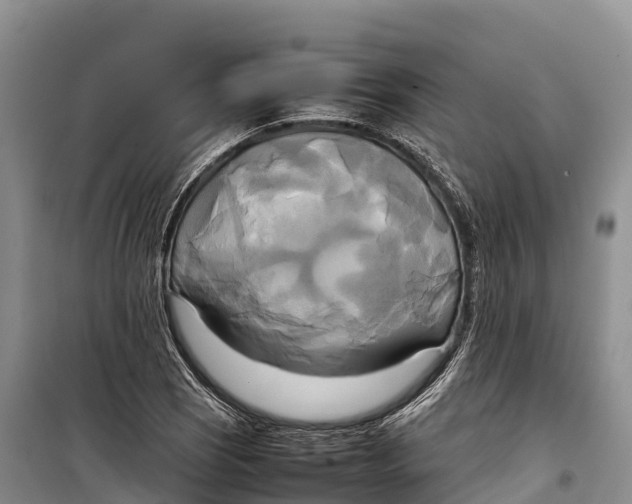 X0000099231121200805151623