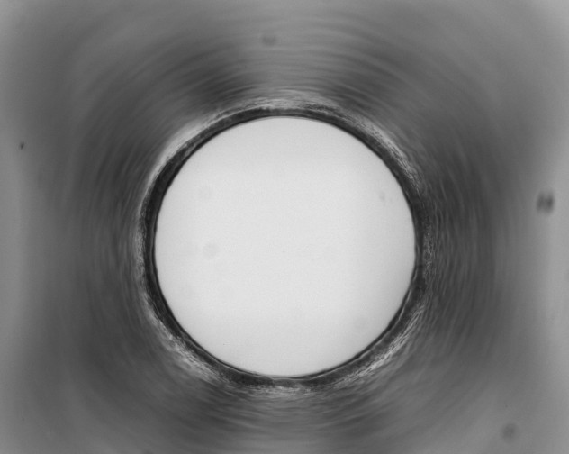 X0000099231122200805151623