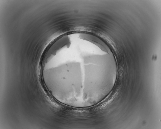 X0000099231125200805151623