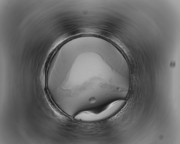 X0000099231127200805151623