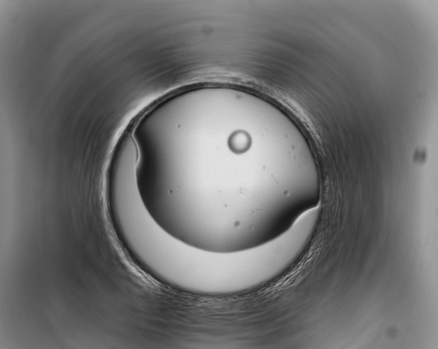 X0000099231128200805151623