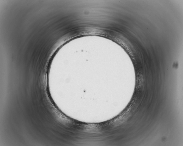 X0000099231130200805151623