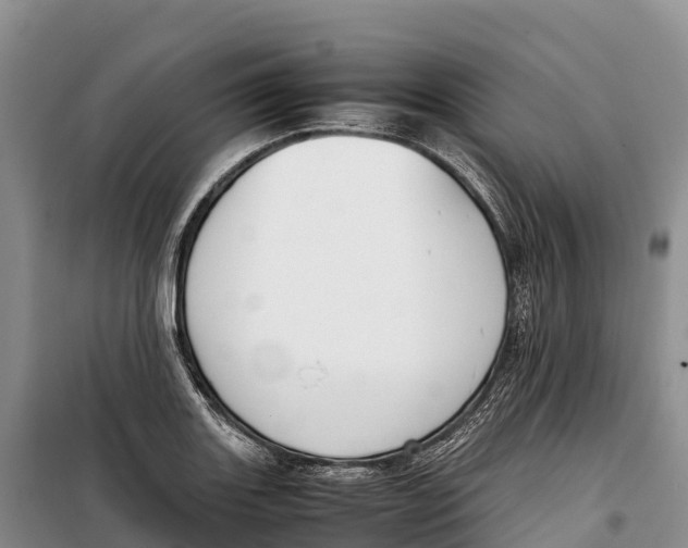 X0000099231131200805151623