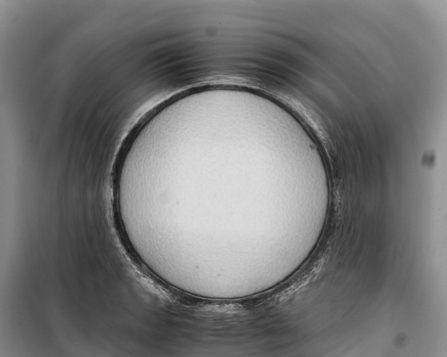 X0000099231133200805151623