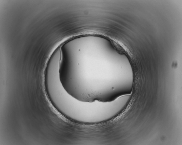 X0000099231134200805151623