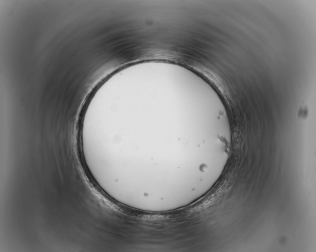 X0000099231135200805151623