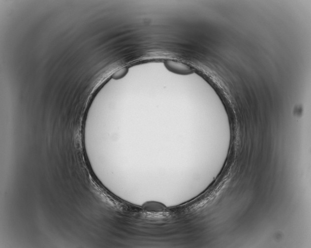 X0000099231137200805151624